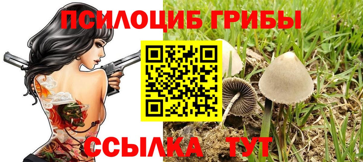 Псилоцибиновые грибы Psilocybine cubensis  Вход с VPN  Дзержинск  наркотики  Псилоцибиновые грибы мухоморы 